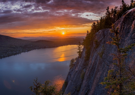 Zdjęcie Krajobraz drzewo natura pustynia
