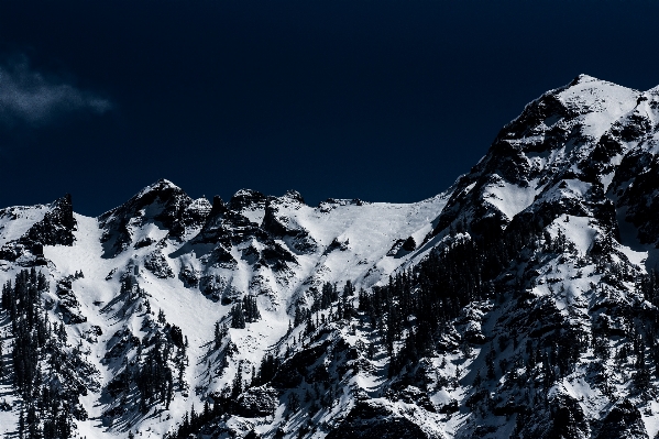 Foto árvore montanha neve inverno