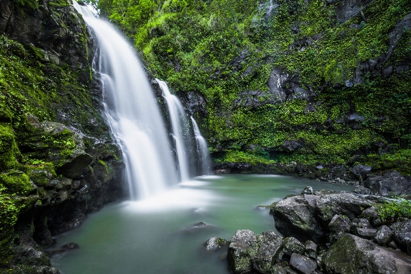 Water nature forest rock Photo