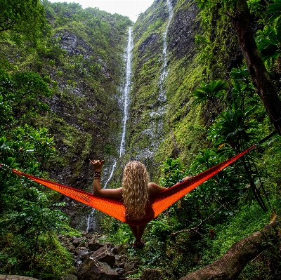 Foto Albero natura foresta cascata