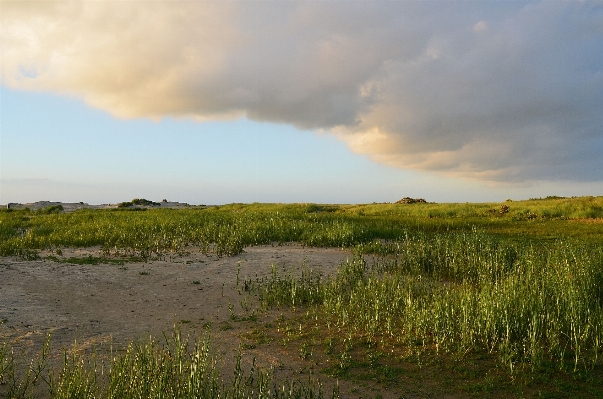 Landscape sea coast nature Photo