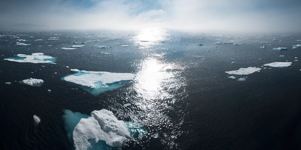 海 海岸 水 海洋