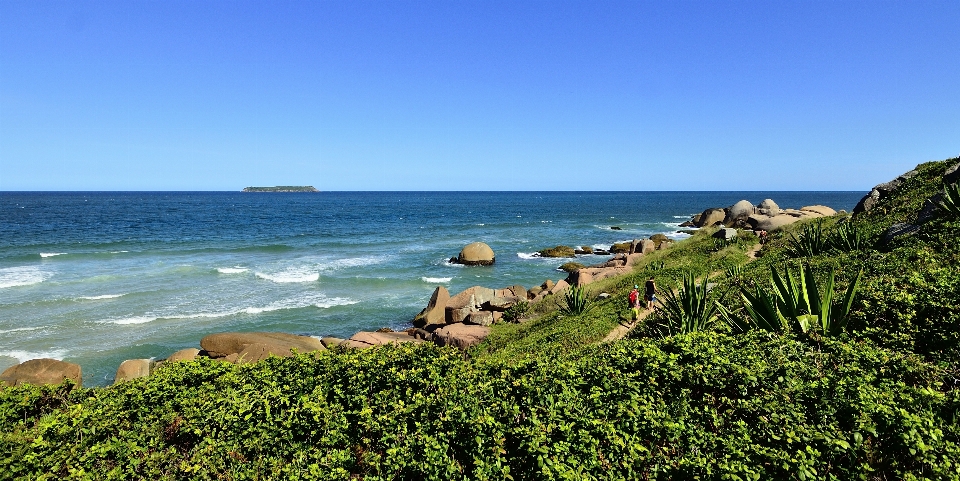 ビーチ 海 海岸 海洋