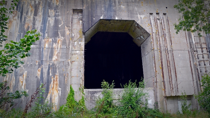 建築 家 建物 年 写真