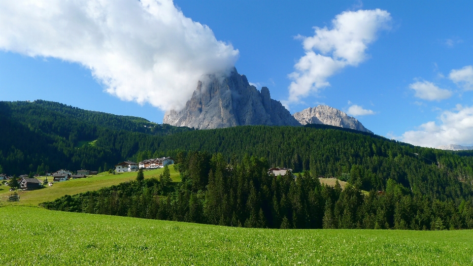 Landscape nature forest wilderness