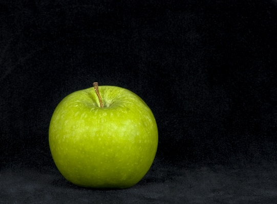 Apple nature plant fruit Photo