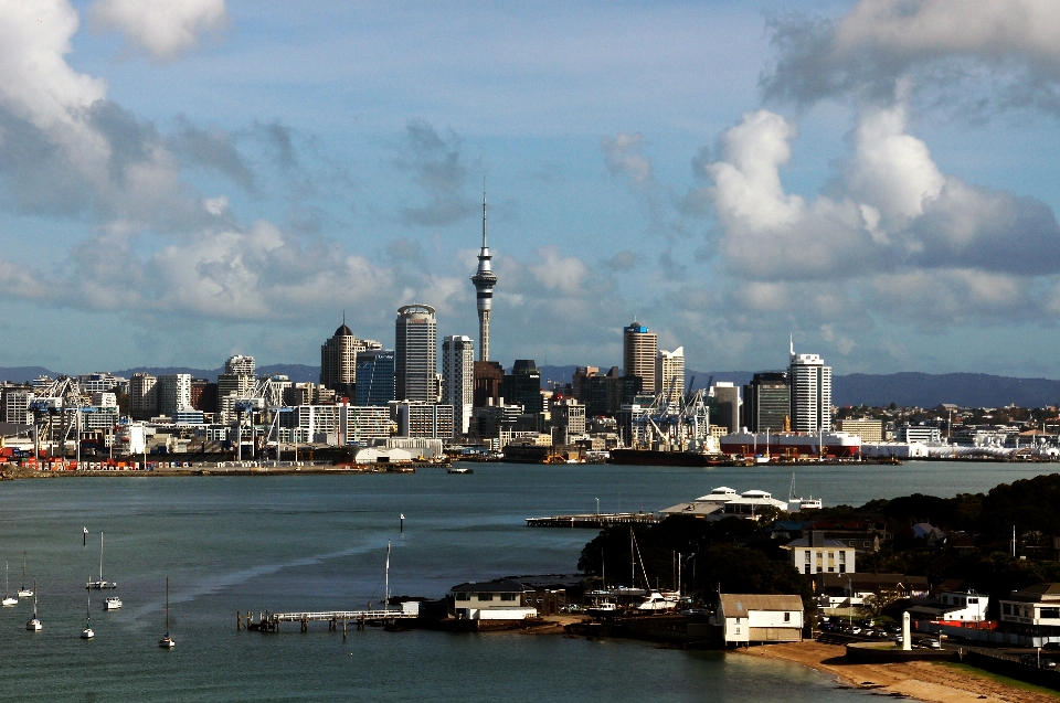 Sea coast horizon skyline