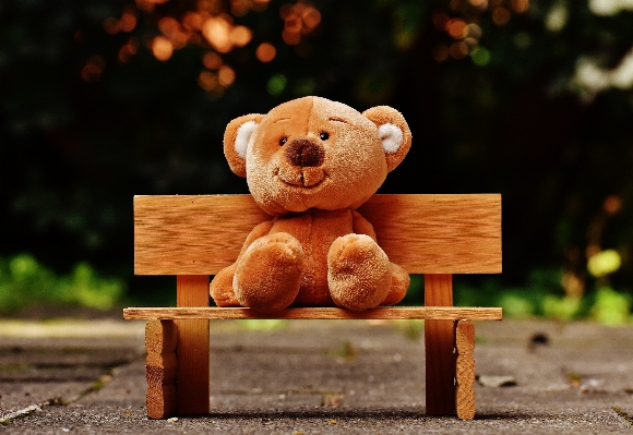 Bench cute bear child Photo