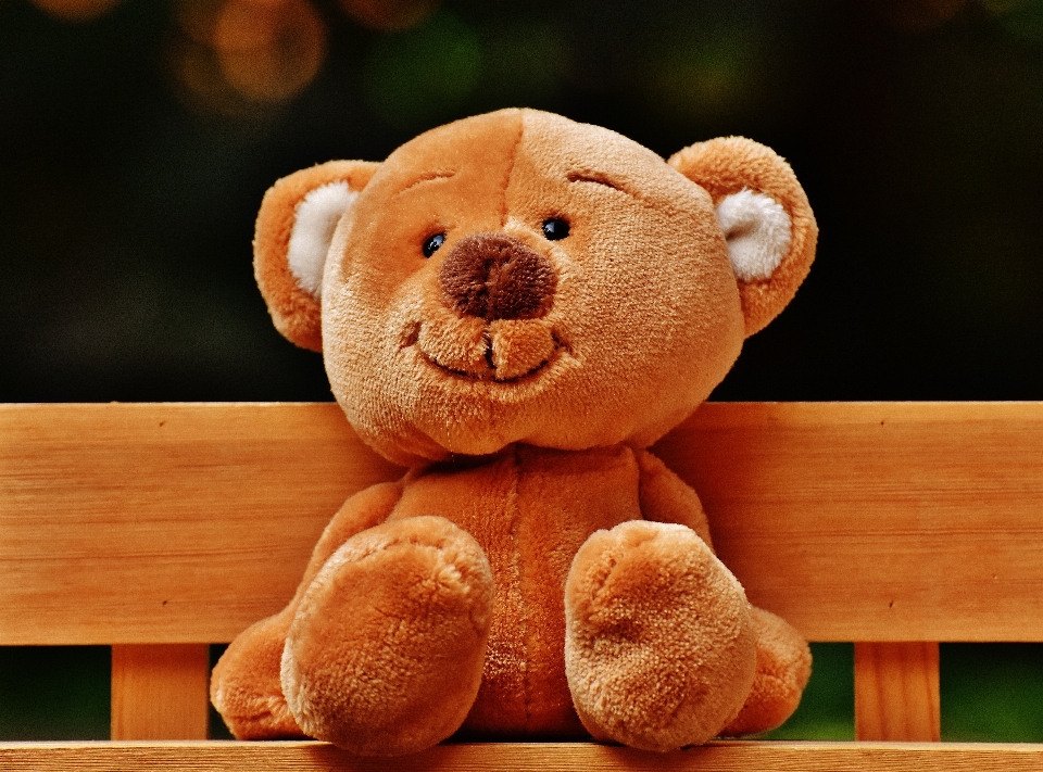 Bench cute bear child