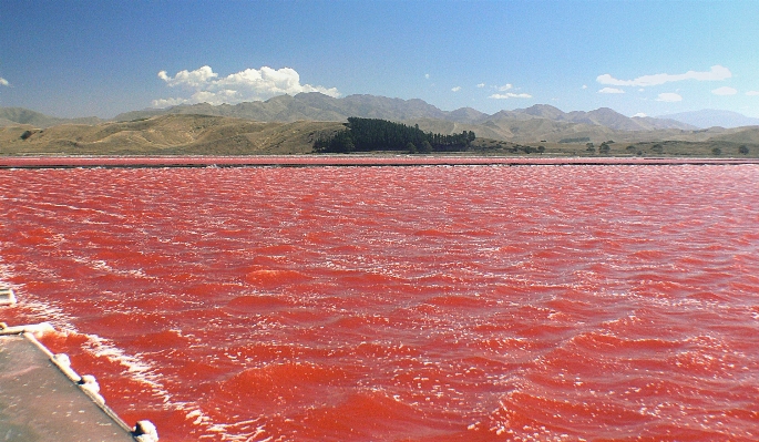 Foto Danau garam waduk laut merah
