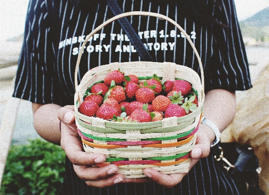 Foto Mão plantar fruta baga