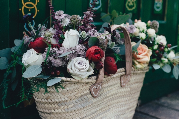 Photo Usine fleur floral bouquet