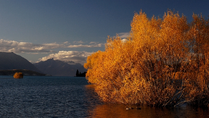 Foto Paisagem árvore natureza montanha