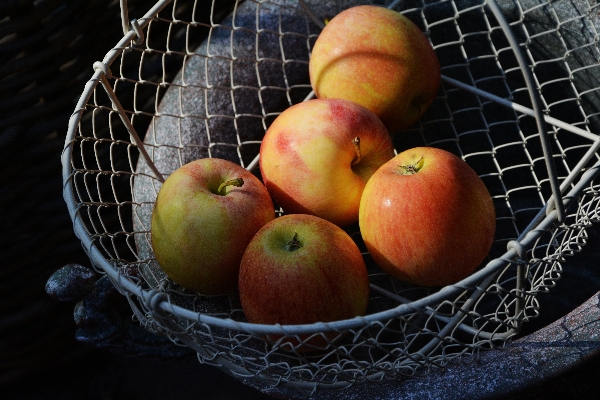 Apple anlage frucht reif
 Foto