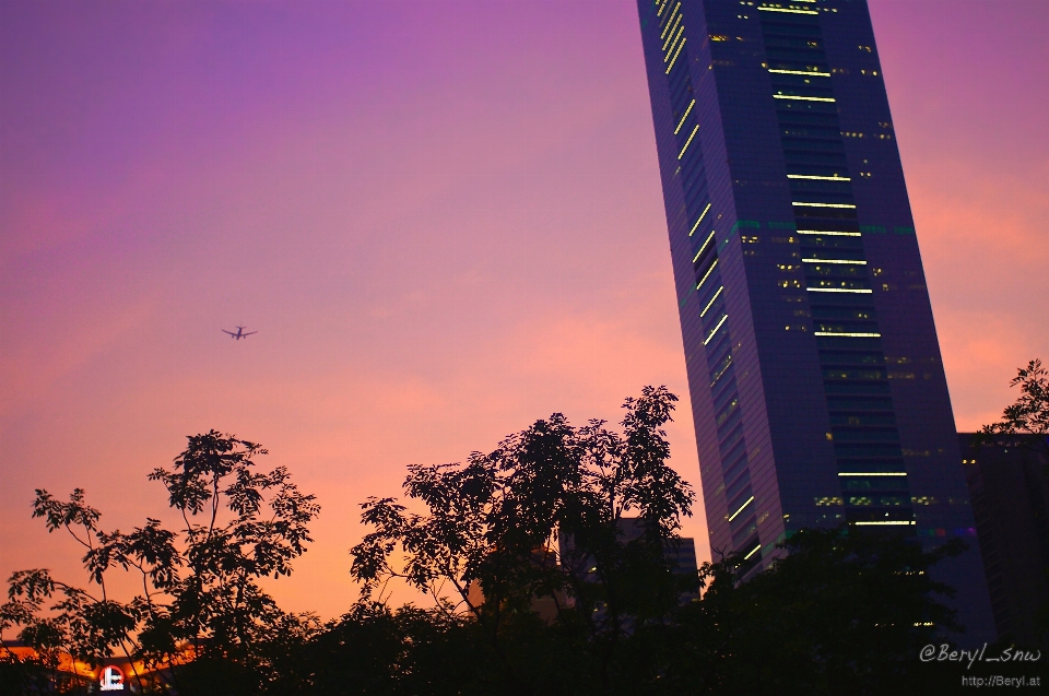 風景 地平線 空 日の出