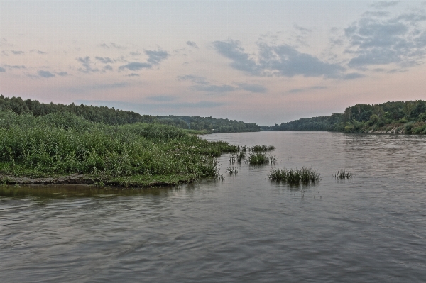 Foto Paesaggio acqua natura pantano