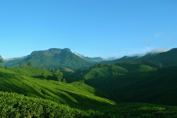 Landscape nature mountain field Photo