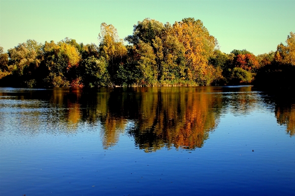 Landscape tree water nature Photo