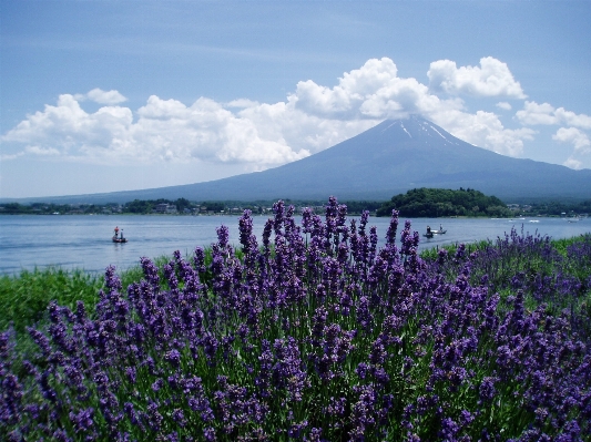 Nature mountain cloud plant Photo