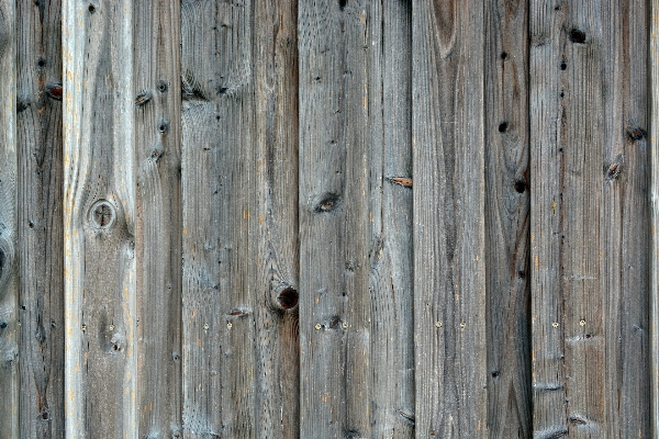 Structure board wood grain Photo