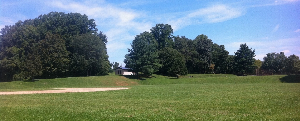 Grass structure field lawn Photo