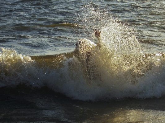 Hand meer küste wasser Foto