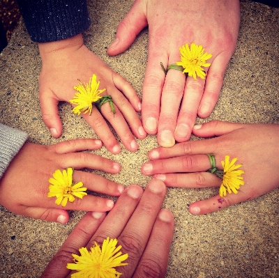 Hand man nature people Photo