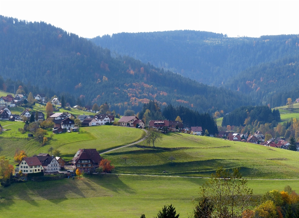 Paisagem floresta montanha estrutura