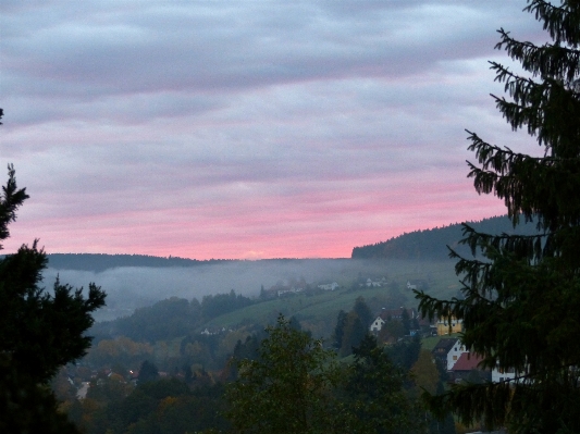 Foto Paisagem natureza floresta montanha