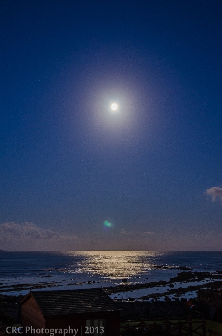 海 海岸 水 海洋