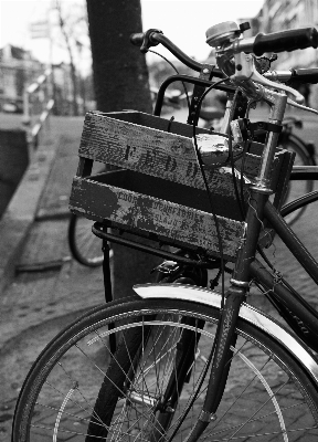 Black and white street wheel bicycle Photo