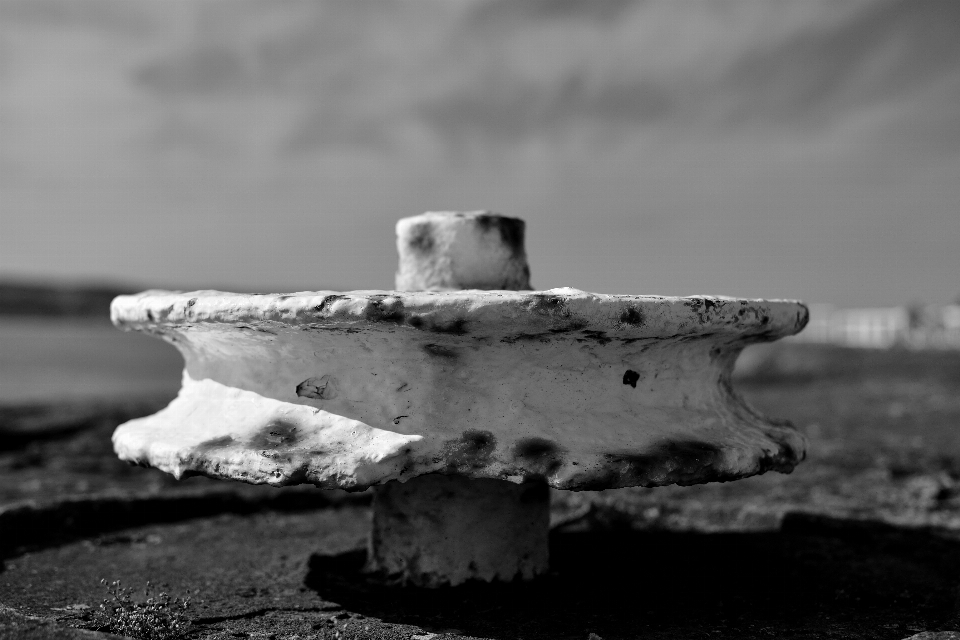 Sea rock black and white wood