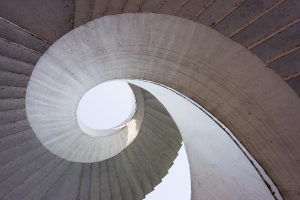 Wing architecture wood wheel Photo