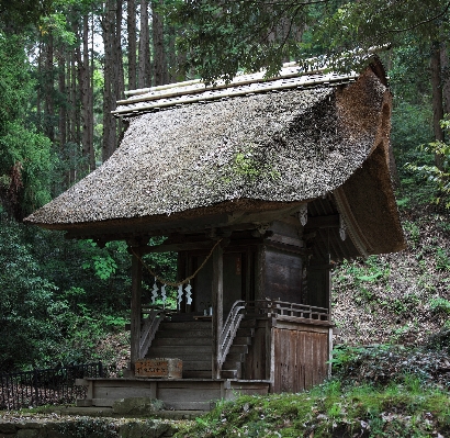 建築 木 家 建物 写真