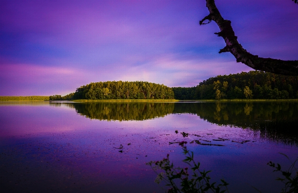 Landscape tree water nature Photo