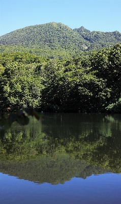 Landscape tree water nature Photo