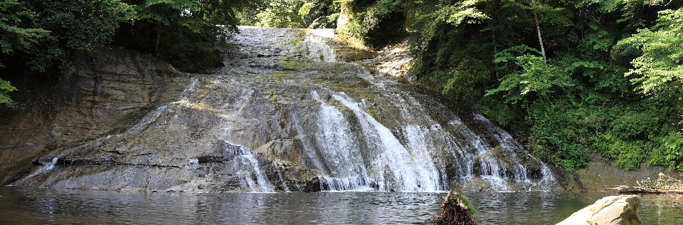 Arbre eau cascade ruisseau
