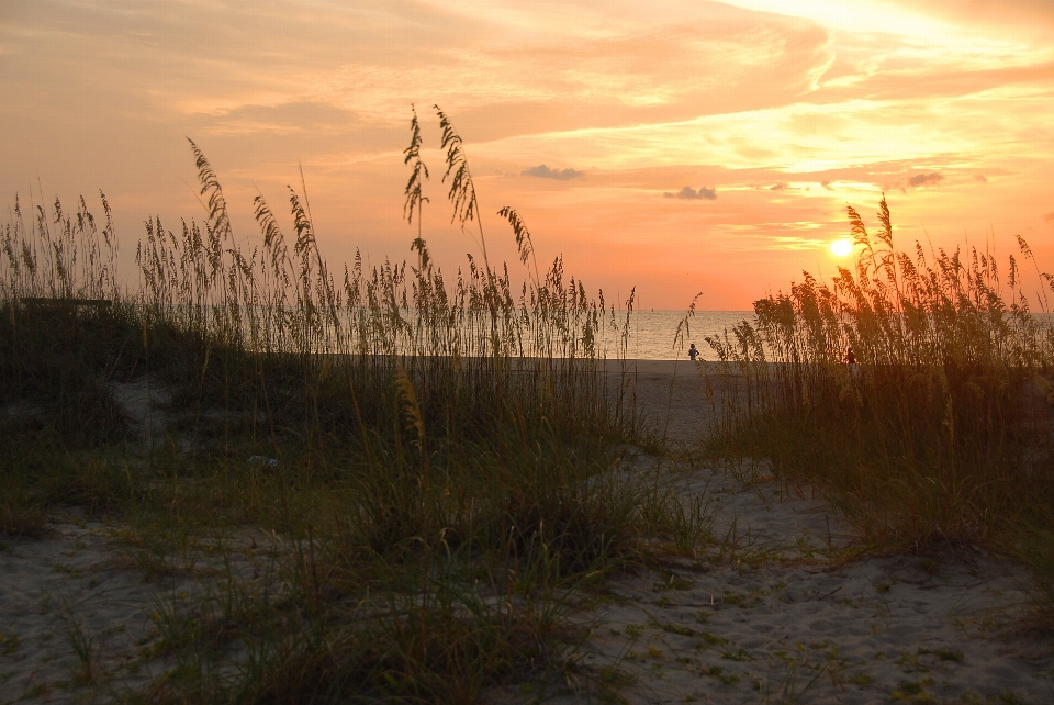 Beach landscape sea coast