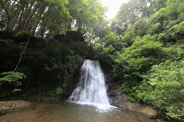 Landscape tree water nature Photo