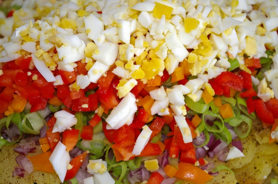 Celebracion alimentar plato comida