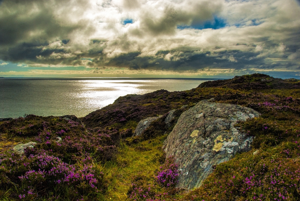 Beach landscape sea coast