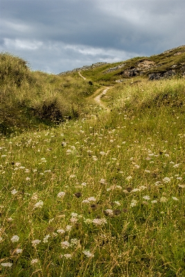 Landscape sea coast nature Photo