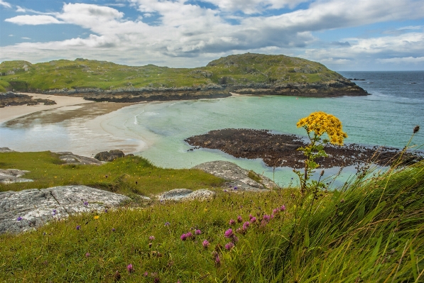 Landscape sea coast nature Photo