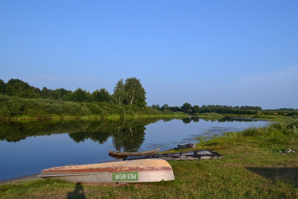 Nature marsh wilderness boat Photo