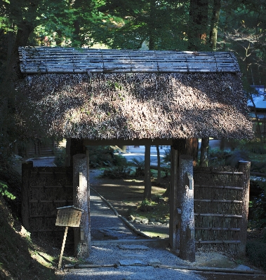 Wood house building home Photo