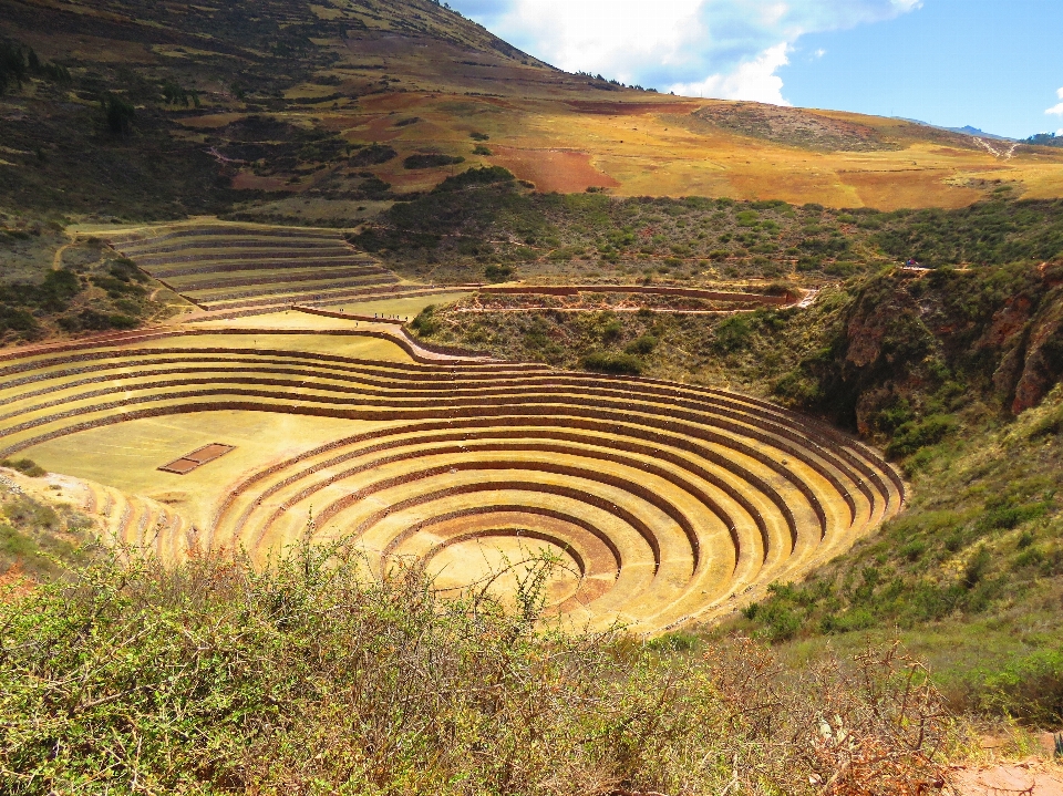 Landscape structure field hill