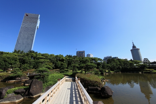 Foto Horizonte cidade arranha-céu rio