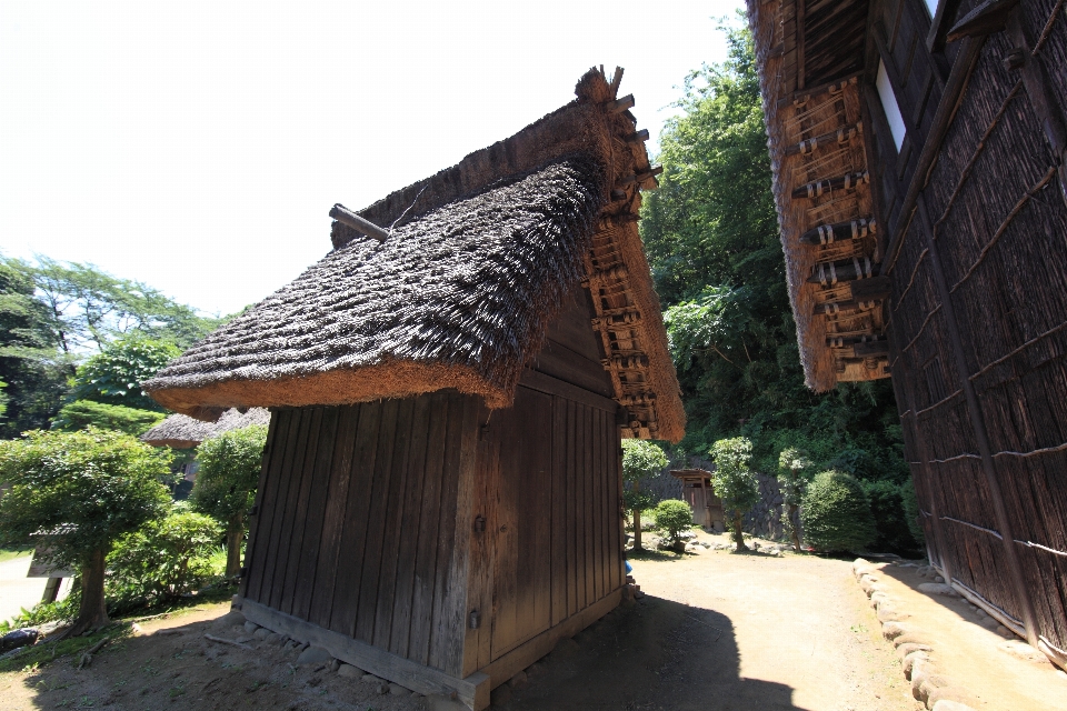 Holz haus gebäude heim