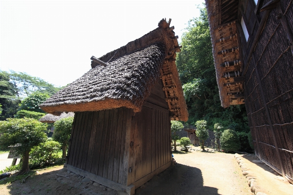 Wood house building home Photo