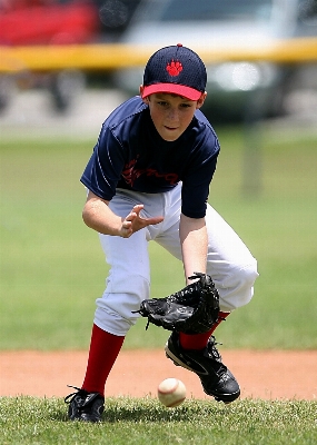 Grass fence baseball sport Photo